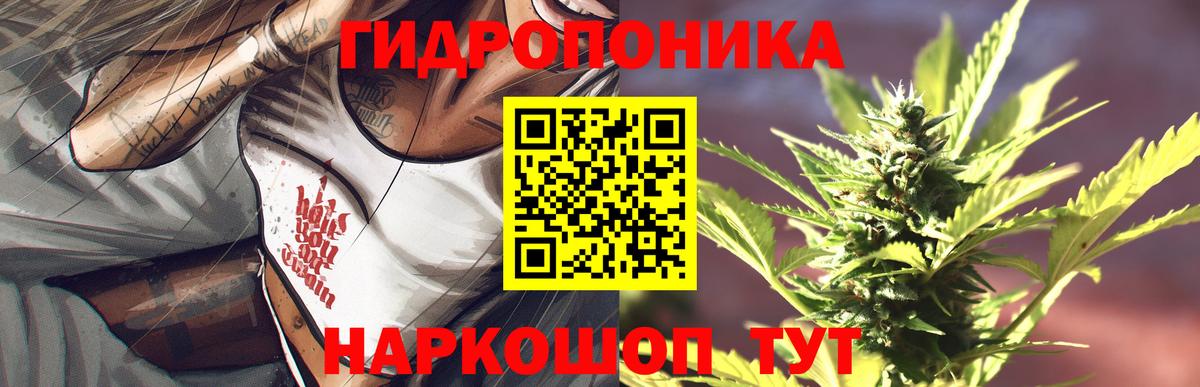 Шишки марихуана семена  Каннабис планчик  Бошки марихуана Bruce Banner  Вход с VPN  Якутск  Конопля тримм 